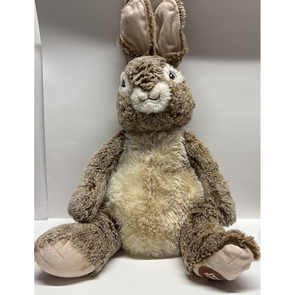 Petter Rabbit Dan Dee Collector's Choice 2019 Large Bunny Stuffed Animal Toy 17" - Picture 1 of 7